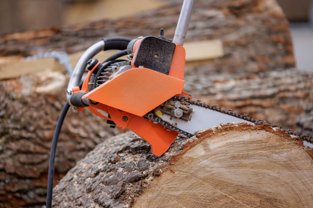 woodcutter saws tree with electric chain saw on sawmill. chainsa